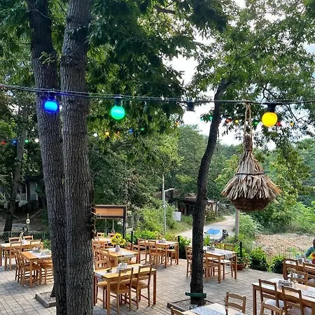 виктория - 卡姆基亚