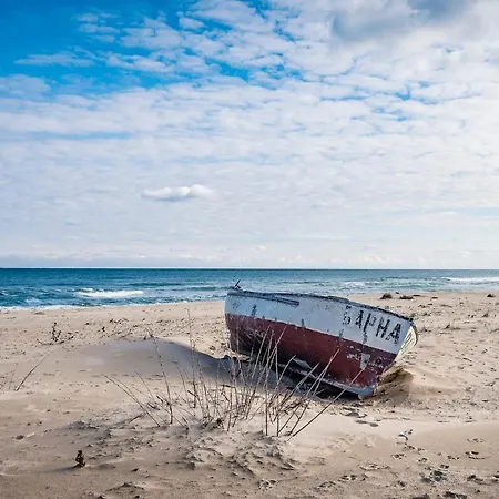 виктория - * 卡姆基亚