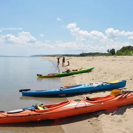 виктория - 캄치아